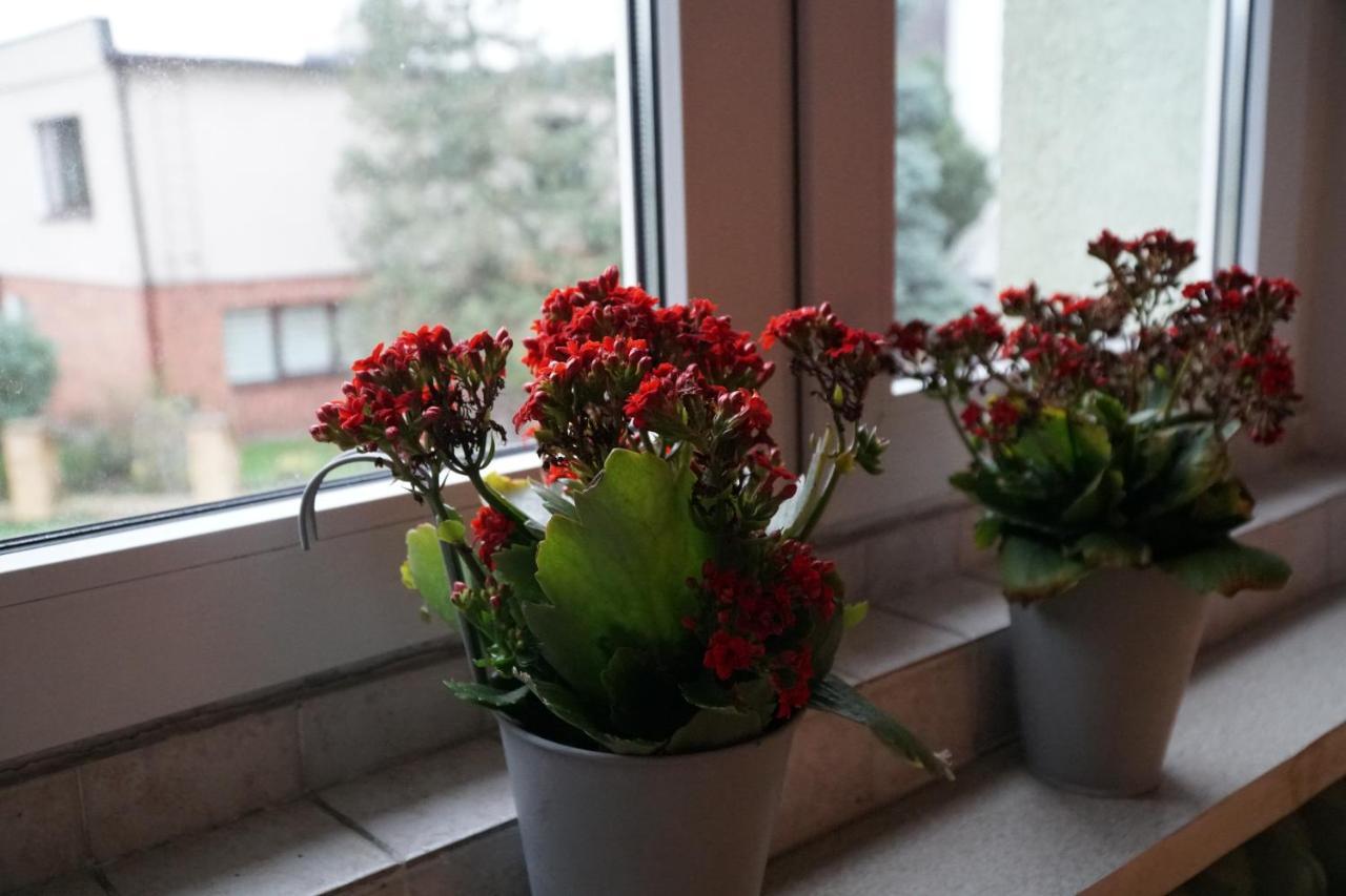 Apartament Paderewski Poznan Luaran gambar