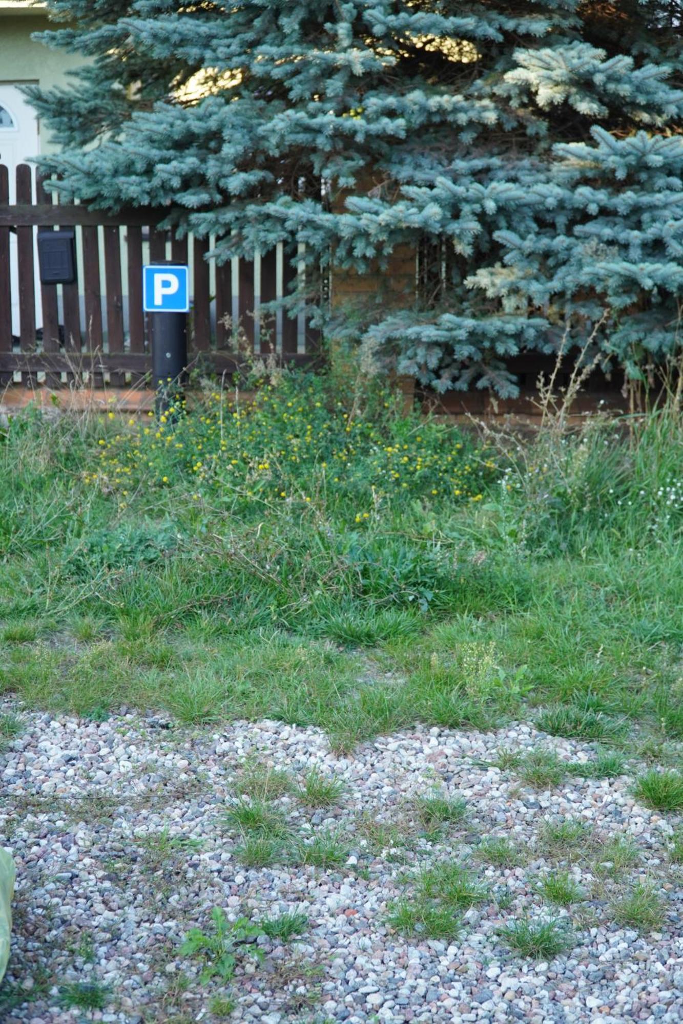 Apartament Paderewski Poznan Luaran gambar